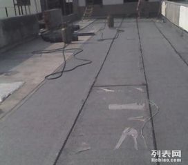 專業防水材料全攻略 守護家庭、廠房、地下室與衛生間的每一寸空間